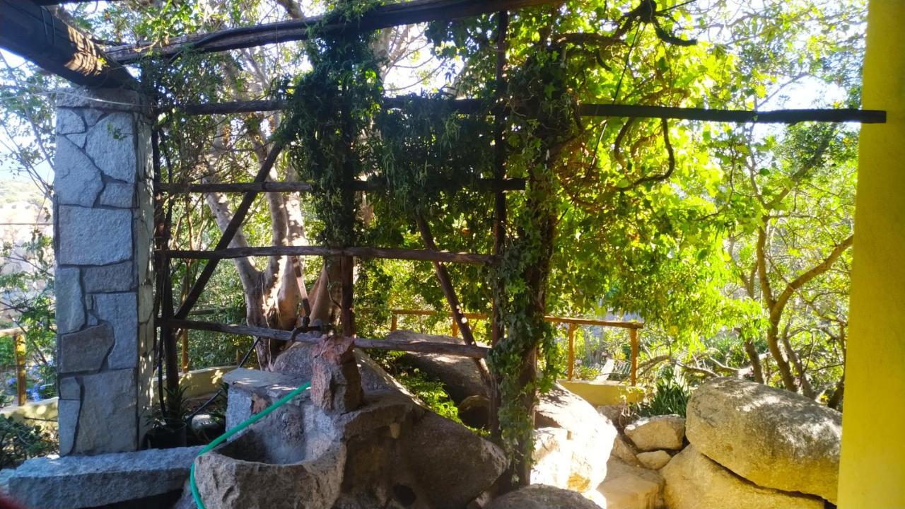 Villa Milena Villasimius, Wifi Gratuito, Ampio Giardino A 300 M Dal Mare Dış mekan fotoğraf
