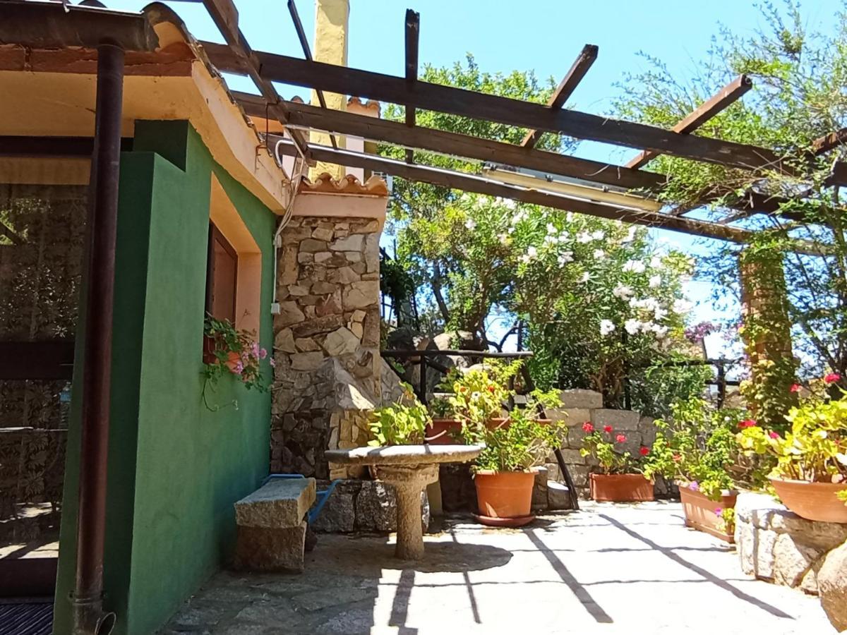 Villa Milena Villasimius, Wifi Gratuito, Ampio Giardino A 300 M Dal Mare Dış mekan fotoğraf